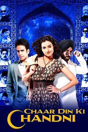 Download Chaar Din Ki Chandni (2012) WebRip Hindi 480p 720p