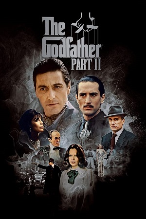 Download The Godfather Part II (1974) BluRay [Hindi + English] ESub 480p 720p