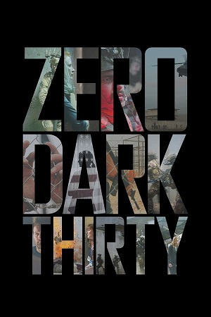 Download Zero Dark Thirty (2012) BluRay [Hindi + English] ESub 480p 720p